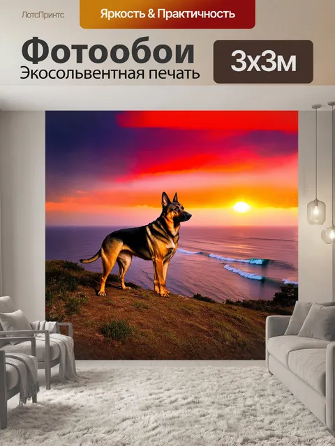 Фотообои немецкая овчарка, стоящая гордо на вершине холма, смотрящая вдаль на залив, где играют волны