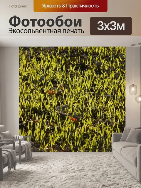 Фотообои Ячмень озимый