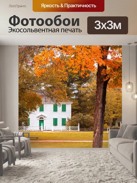 Фотообои Исторический дом