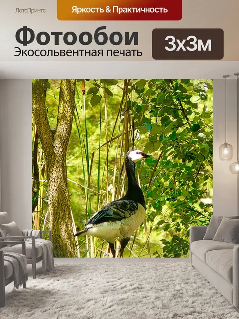 Фотообои Птица