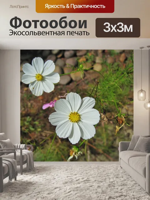 Фотообои белые космос цветы