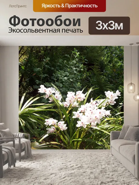 Фотообои Белые цветы