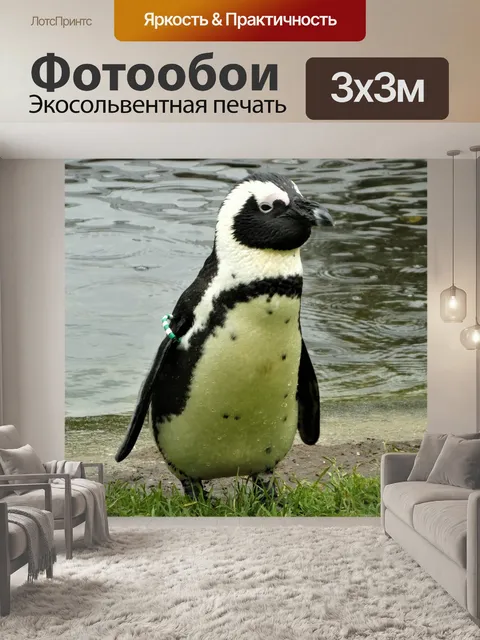 Фотообои Пингвин