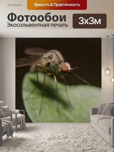 Фотообои Комар