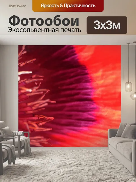 Фотообои вид волокон внутри открытого мака