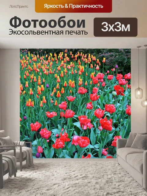 Фотообои тюльпаны, ботанические сады, москва