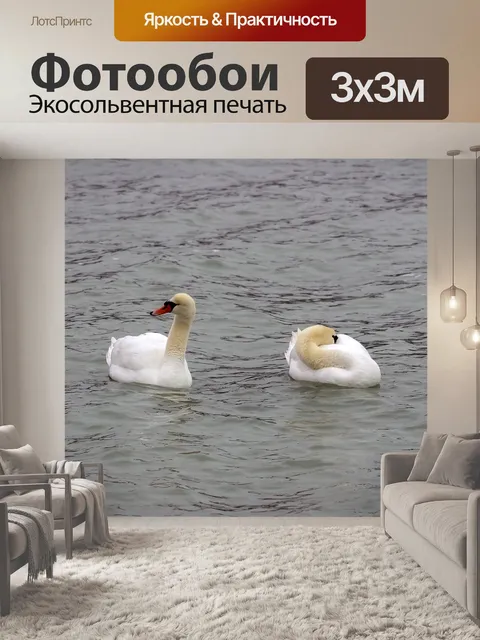 Фотообои Лебеди