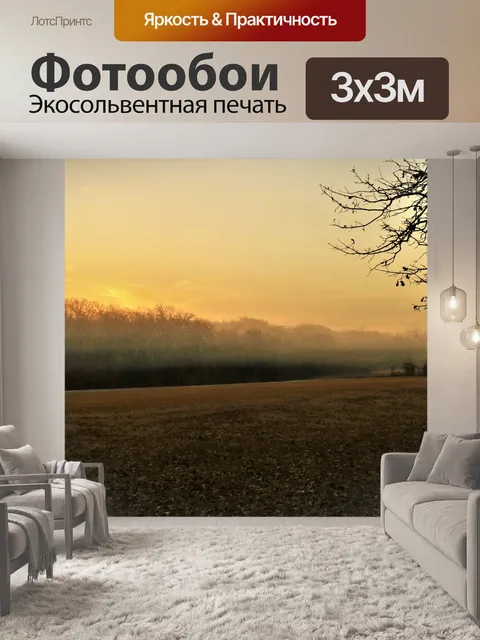 Фотообои Туман в поле на рассвете