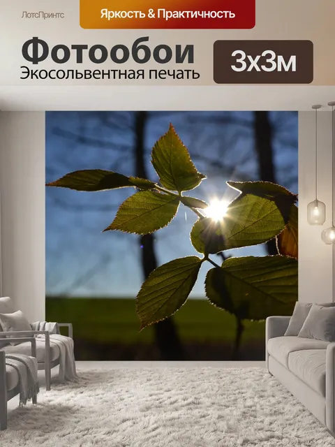 Фотообои Солнце