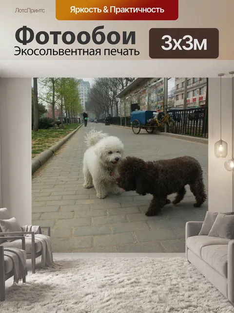 Фотообои Белая грязная собака, коричневая собака