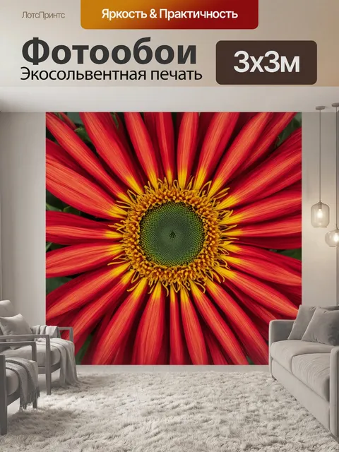 Фотообои 66