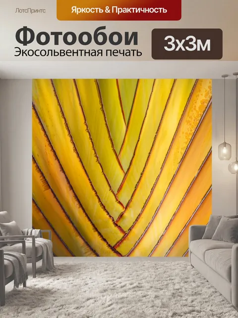 Фотообои Дерево пальмы листья фон