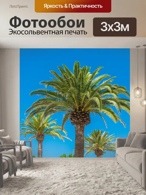 Фотообои Пальмы и голубое небо