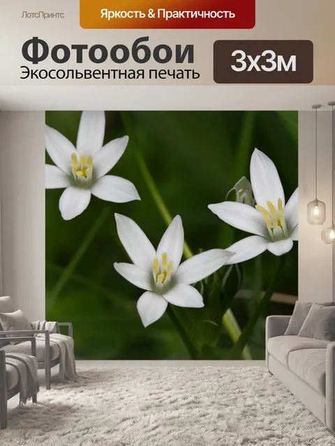 Фотообои Цветы