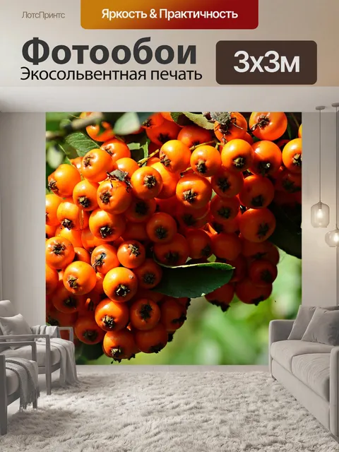 Фотообои Буш