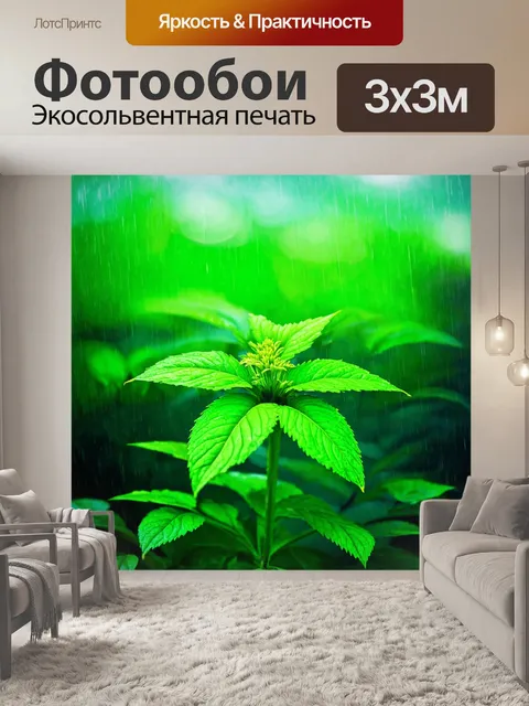 Фотообои зеленые в стиле пастельный рисунок, настроенные под легкий дождь, создавая свежесть и прохладу