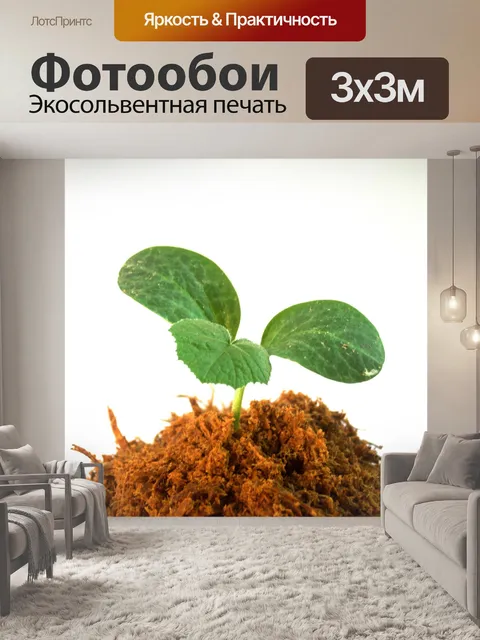 Фотообои Молодое дерево