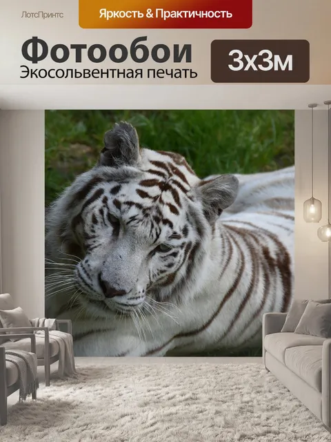 Фотообои Белый тигр