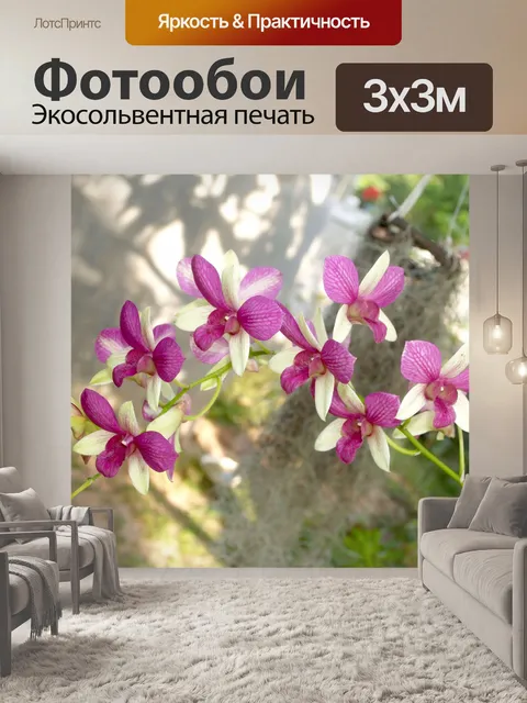 Фотообои Фото цветка орхидеи