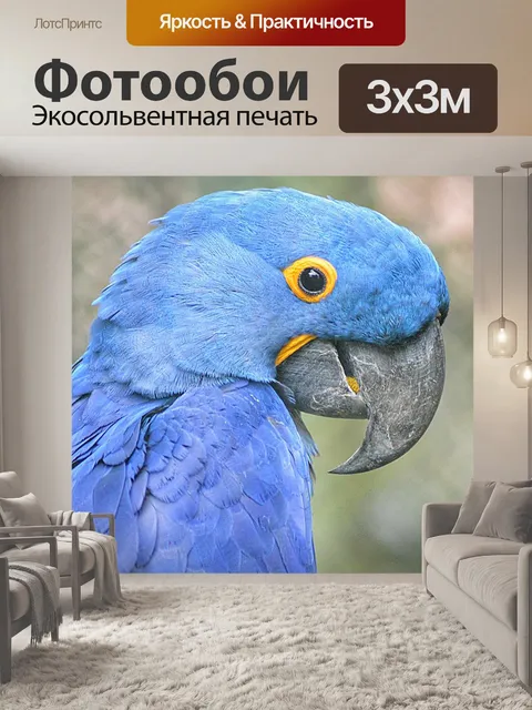 Фотообои Птица