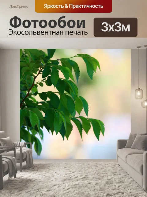 Фотообои листья крупным планом
