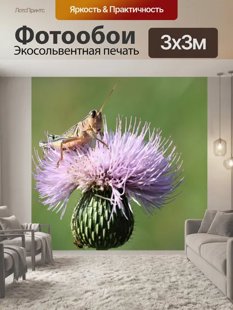 Фотообои Браун Кузнечик на Высоком Чертополохе