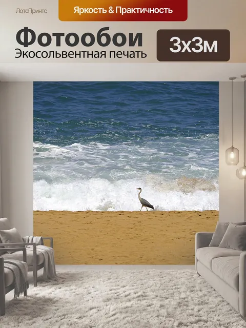 Фотообои птица, ходить на пляж
