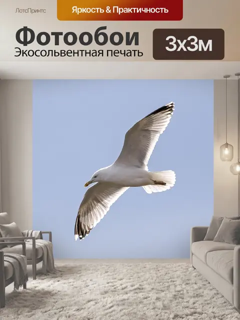 Фотообои Сельдь чайка