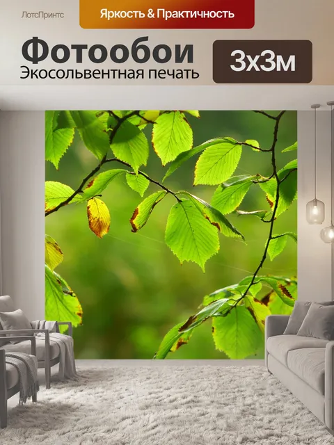 Фотообои Лес