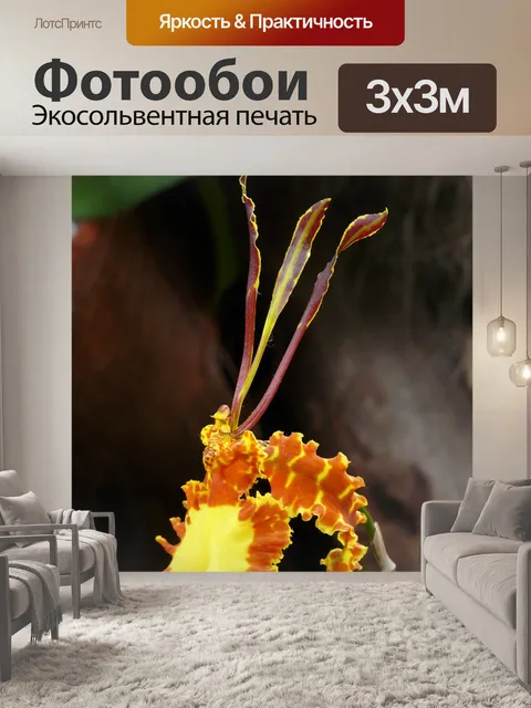 Фотообои Бабочка орхидея