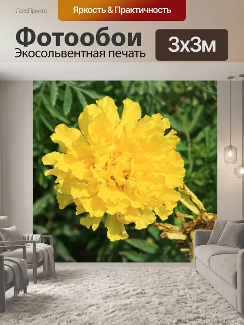 Фотообои желтый календулы цветок