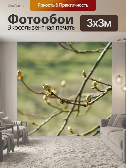 Фотообои Бутон