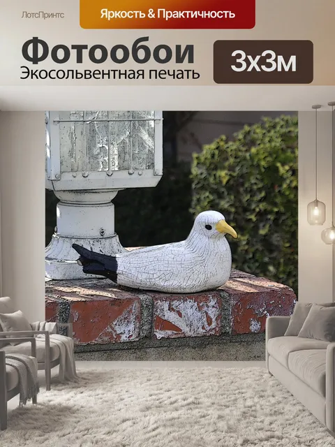 Фотообои Чайка украшения