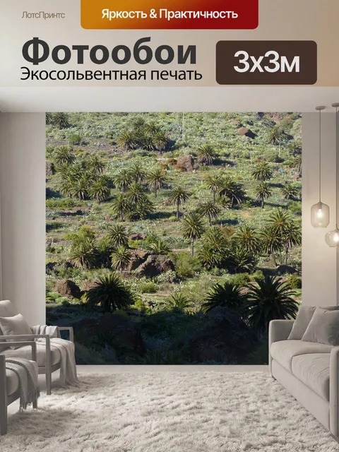 Фотообои Пальмы