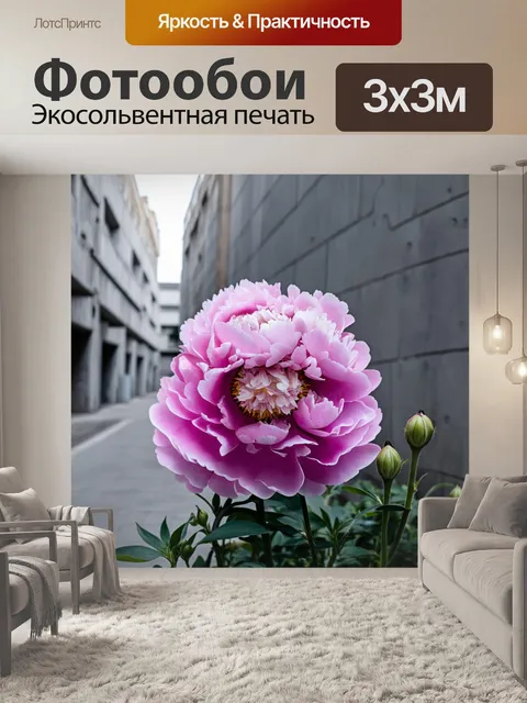 Фотообои пионы в серой городской среде, контрастируя с бетонными зданиями и создавая атмосферу неожиданной красоты