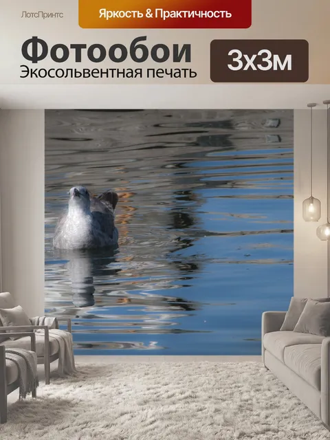 Фотообои Детская чайка в озере