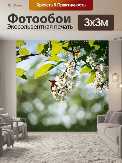 Фотообои чарующая черемуха, устремлённая навстречу солнцу, покрывает ветви белыми цветами, пробуждая весенние ароматы