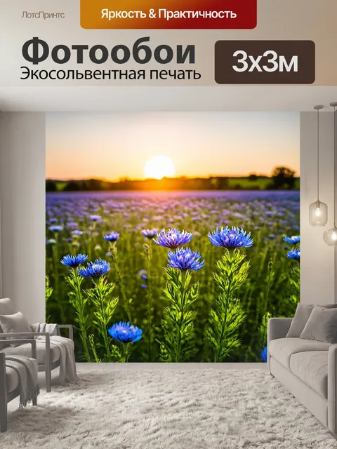 Фотообои поле васильков под закатом