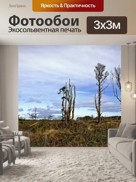Фотообои Вырубка леса