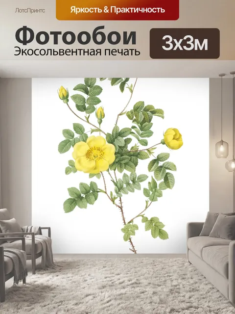 Фотообои Роза цветок винтажное искусство