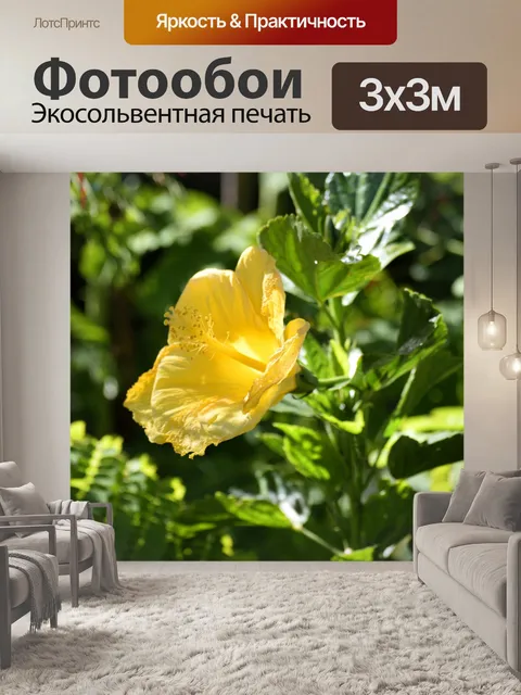 Фотообои Яркий цветок гибискуса