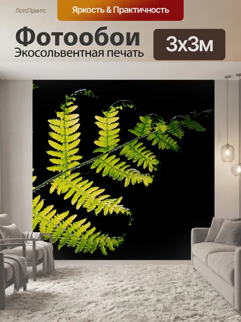 Фотообои зеленый папоротник