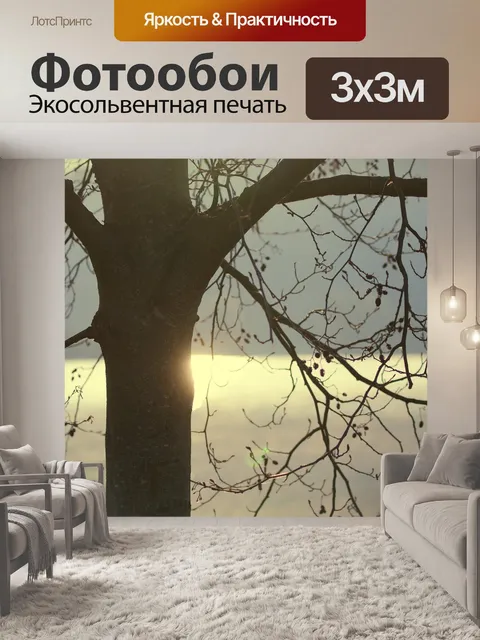 Фотообои Поймы реки
