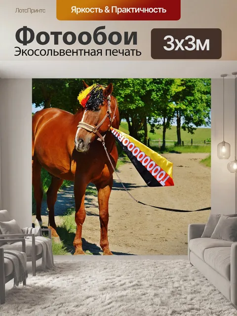 Фотообои Чемпионат европы