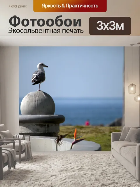 Фотообои чайка