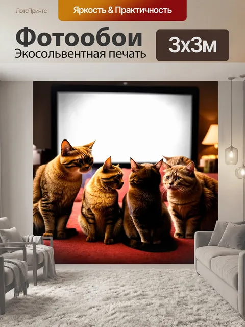 Фотообои кошки, собирающиеся вместе для просмотра кинофильма