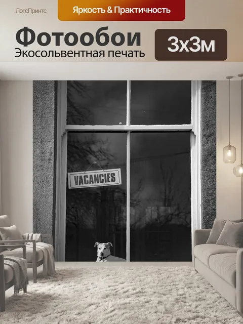 Фотообои Оконные и собаки