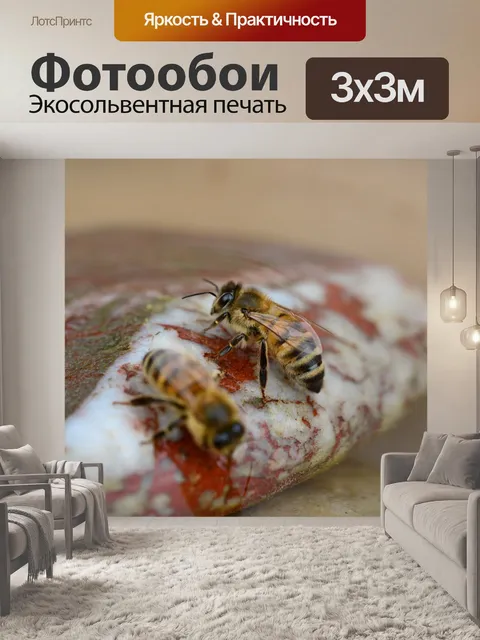 Фотообои Медовый