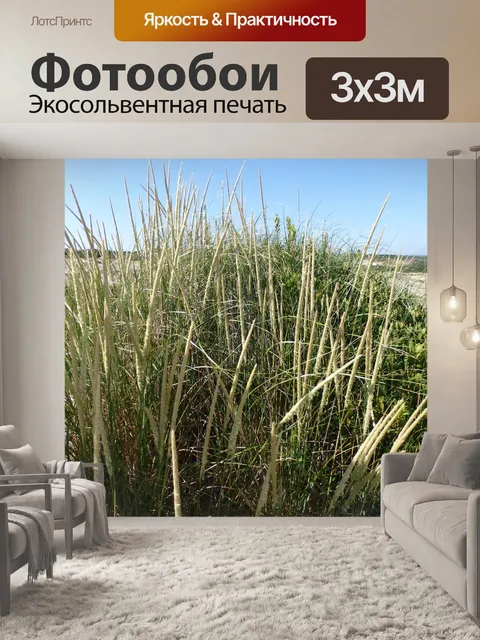 Фотообои Пляжная трава
