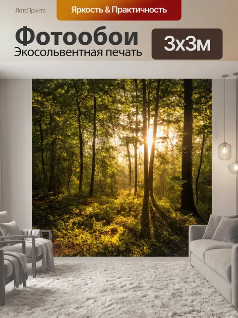 Фотообои утро, густой лес, где первые лучи солнца пробиваются сквозь листву, создавая игру света и теней